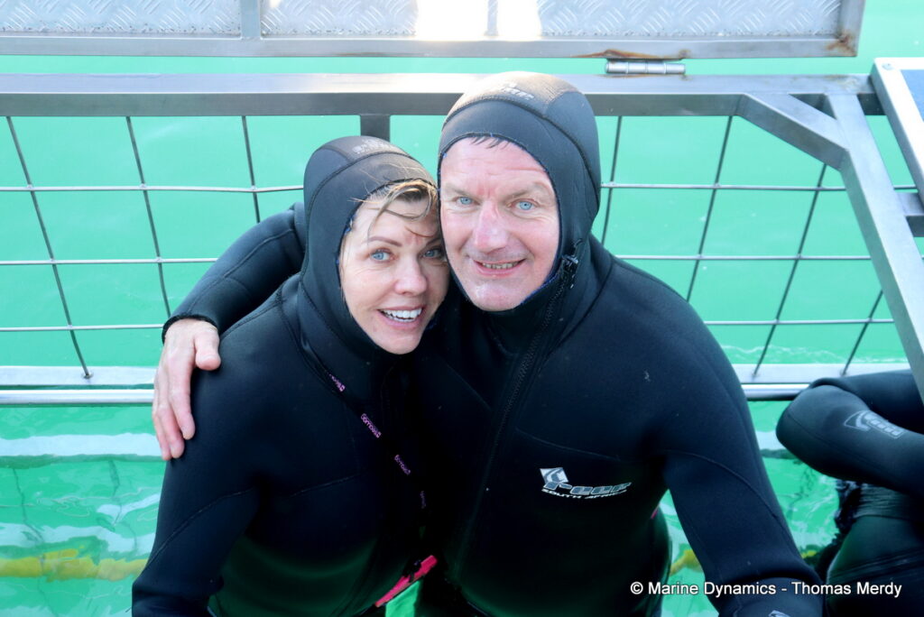 Shark cage diving, Gansbaai, South Africa