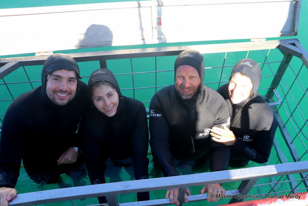 Shark cage diving, Gansbaai, South Africa