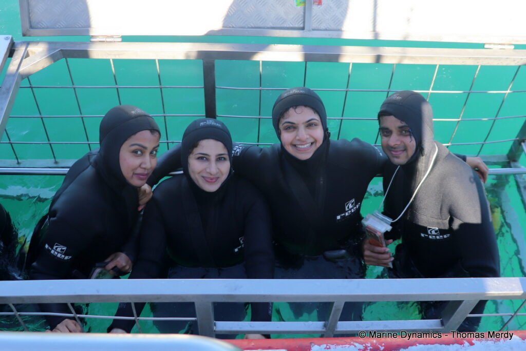 Shark cage diving, Gansbaai, South Africa