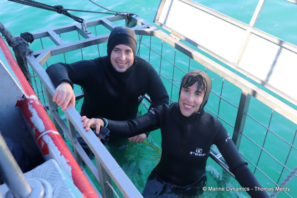 Shark cage diving, Gansbaai, South Africa