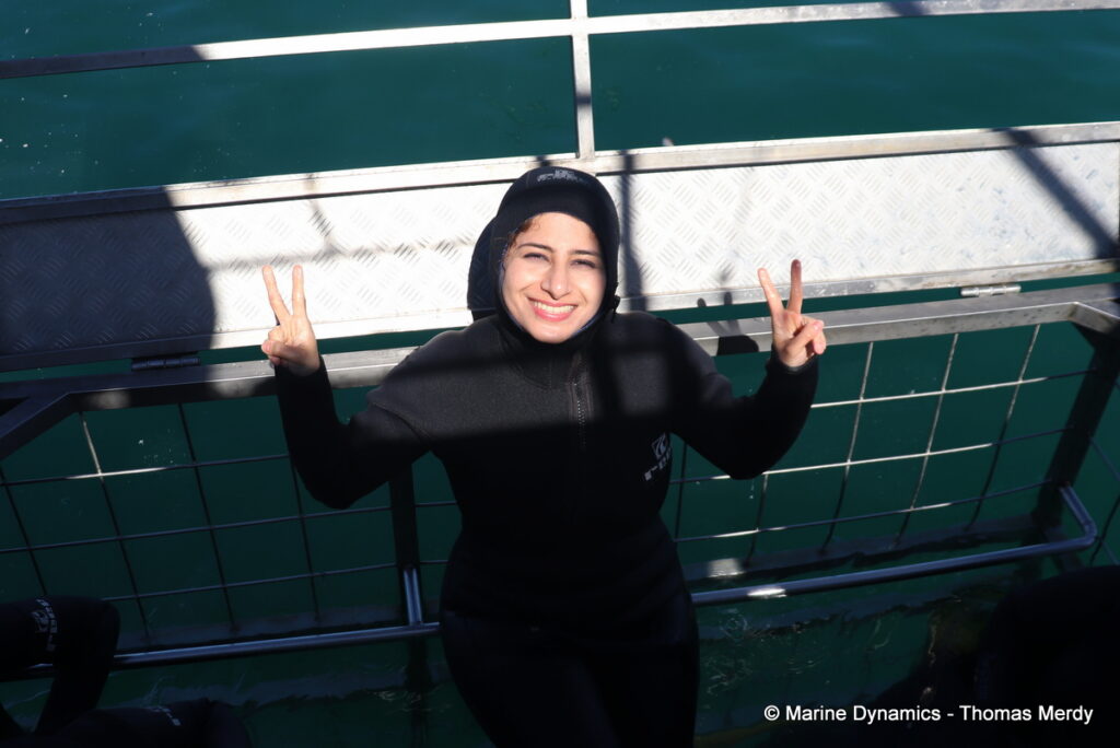 Shark cage diving, Gansbaai, South Africa