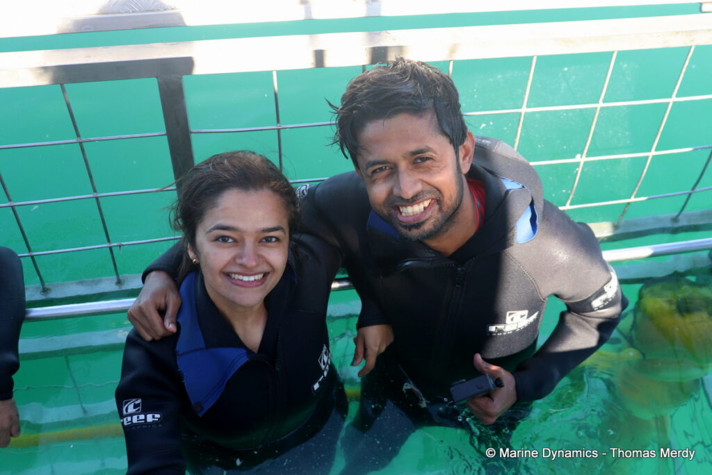 Shark cage diving, Gansbaai, South Africa