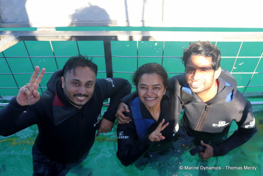 Shark cage diving, Gansbaai, South Africa