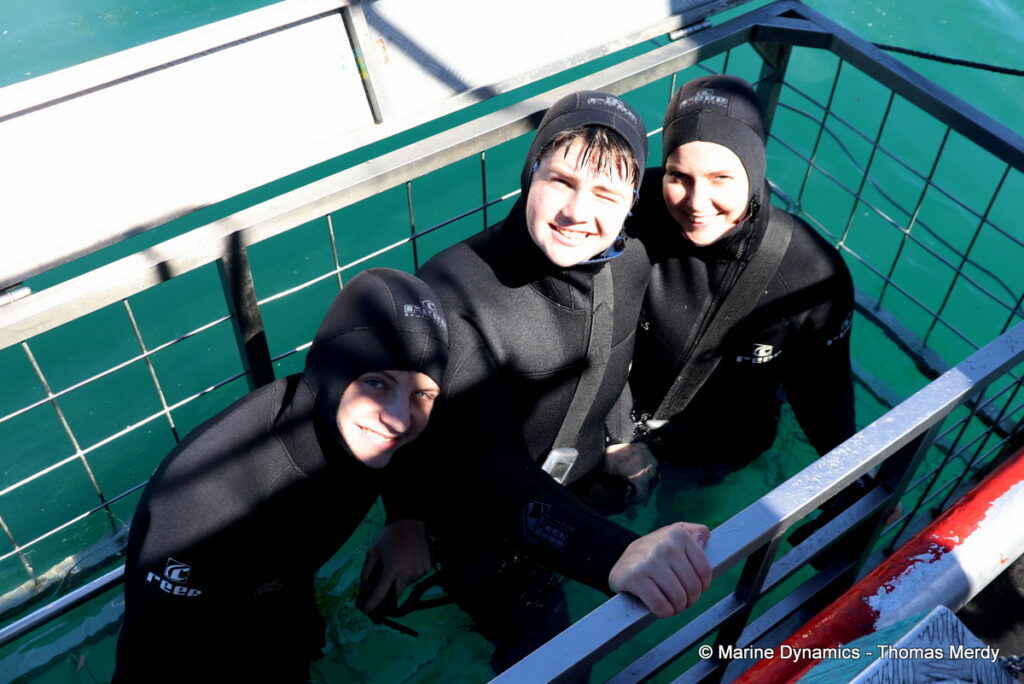 Shark cage diving, Gansbaai, South Africa