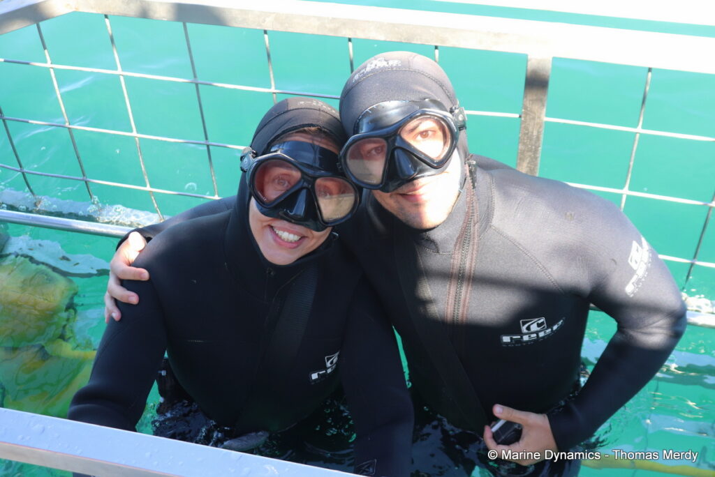 Shark cage diving, Gansbaai, South Africa