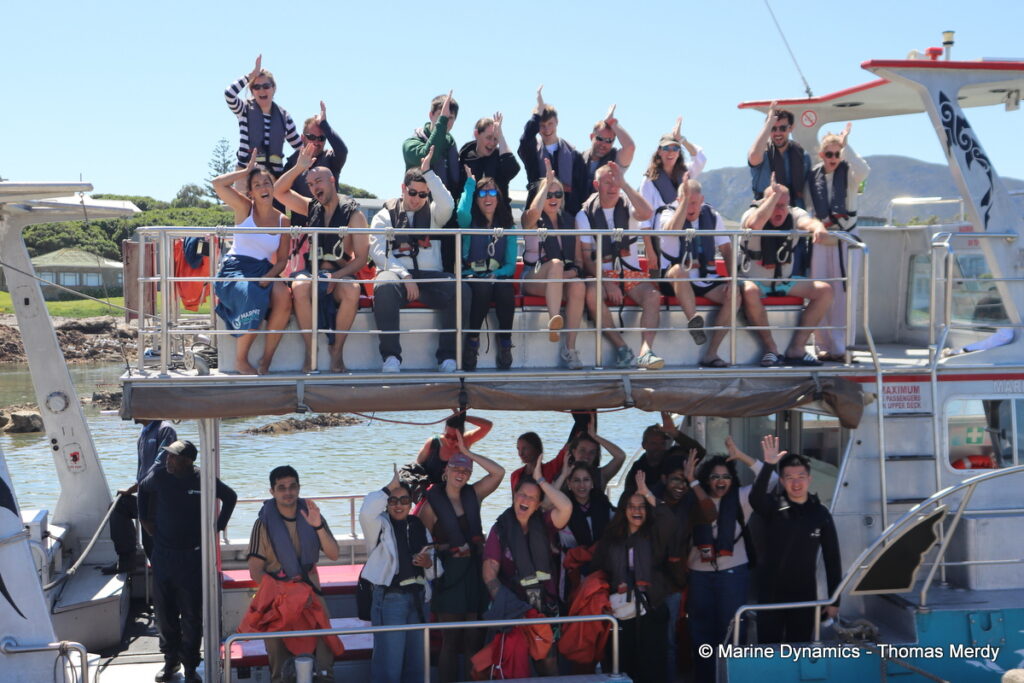 Shark cage diving, Gansbaai, South Africa